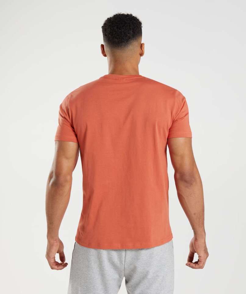 Men's Gymshark Sharkhead Infill T-Shirts Orange | NZ 8TCDHF